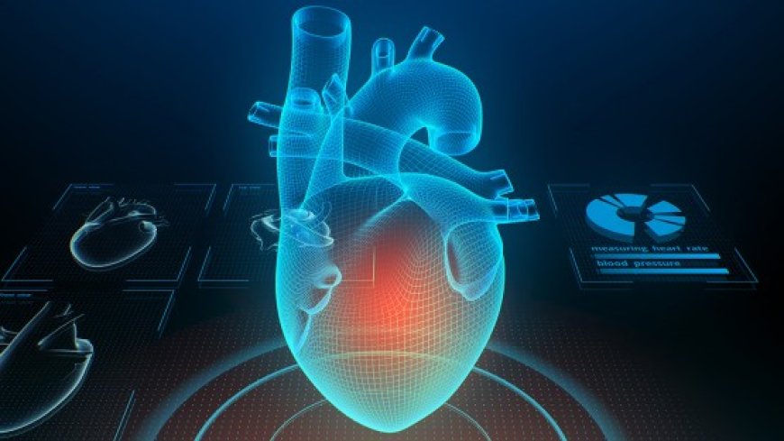 A pulse of innovation: AI at the service of heart research