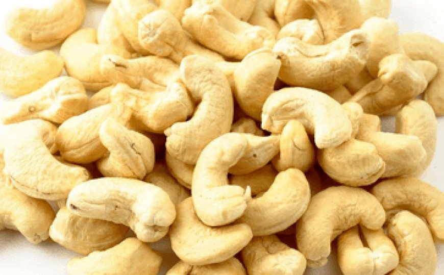 Cocoa Research Institute produces new cashew variety that ‘escapes’ heat season 