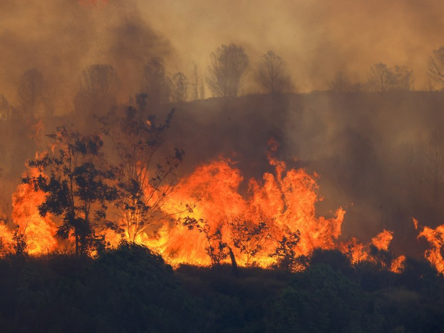 At least five killed in southeast Turkey wildfires