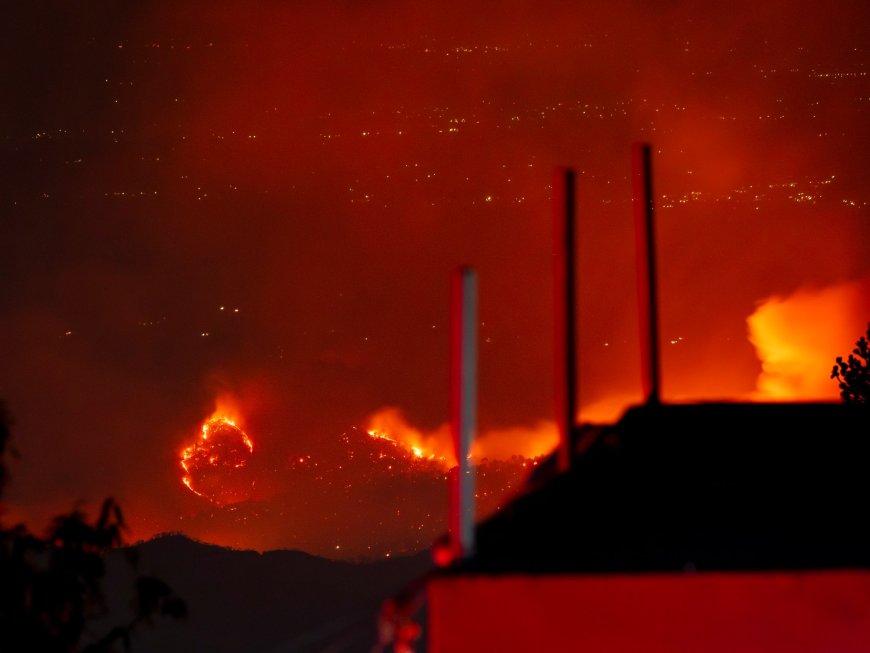 ‘Smoke was so thick’: Forest fires scorch Indian mountains amid heatwave