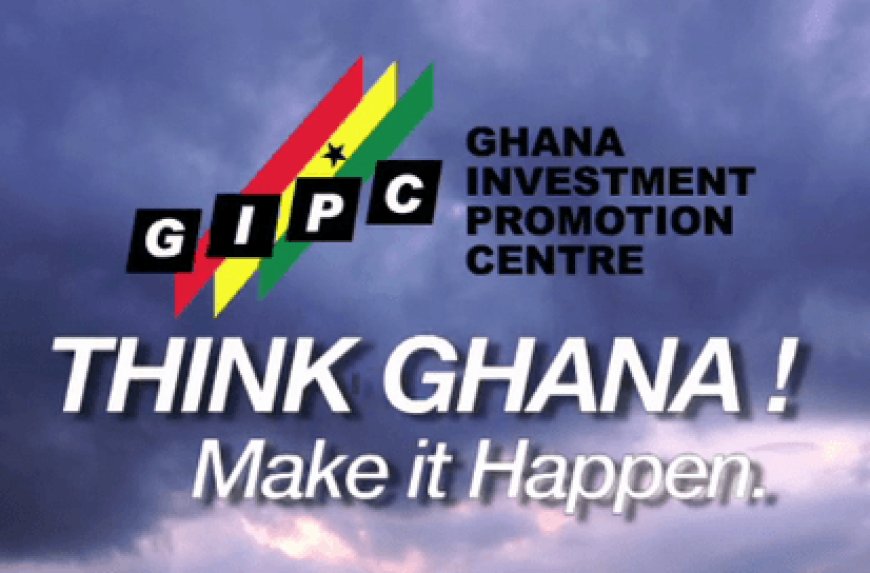 As concerns grow over frequent travels, economist recommends digitalization for GIPC