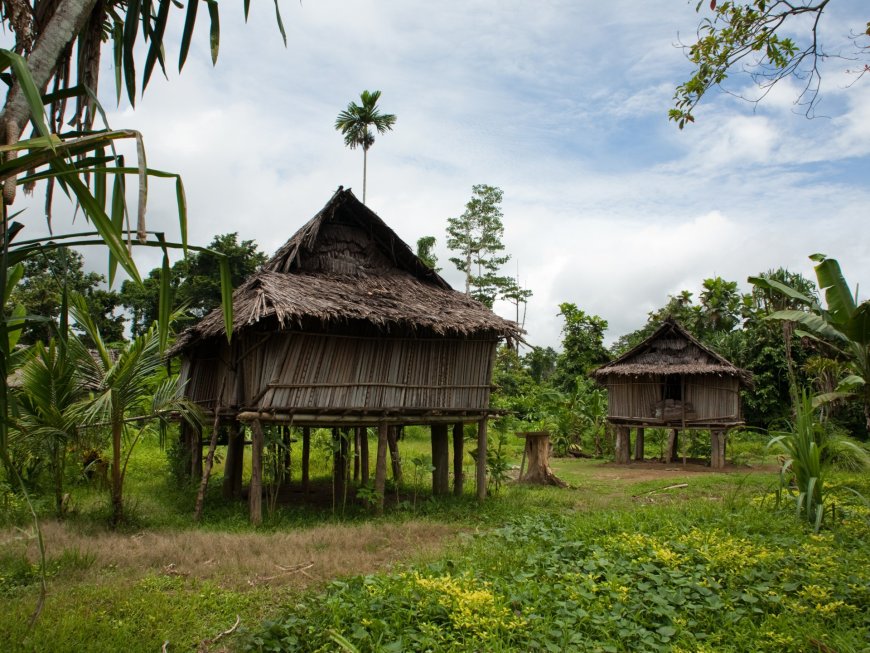 Gang killed 26 villagers in northern Papua New Guinea: Police