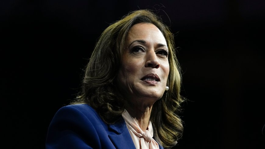 Will Kamala Harris’s economic plans sway US voters?