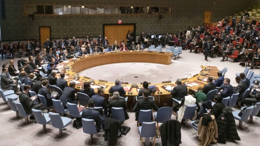 Officials at UN Security Council push for a permanent seat for Africa