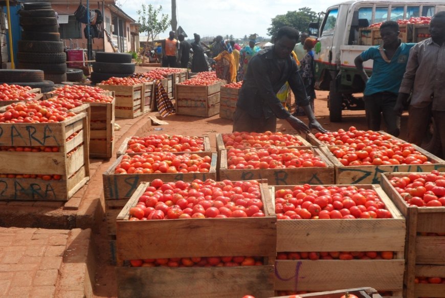 The world wasted more than 1 billion metric tons of food in 2022 – Report