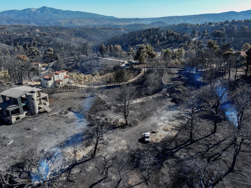 Deadly wildfire in Greece destroys land and homes