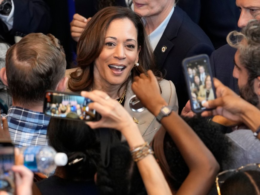 ‘A unique relationship:’ How Kamala Harris courts the progressive left