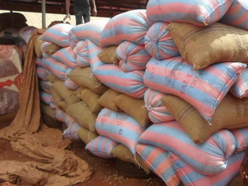 Ghana government bans export of grains to avert potential food crisis