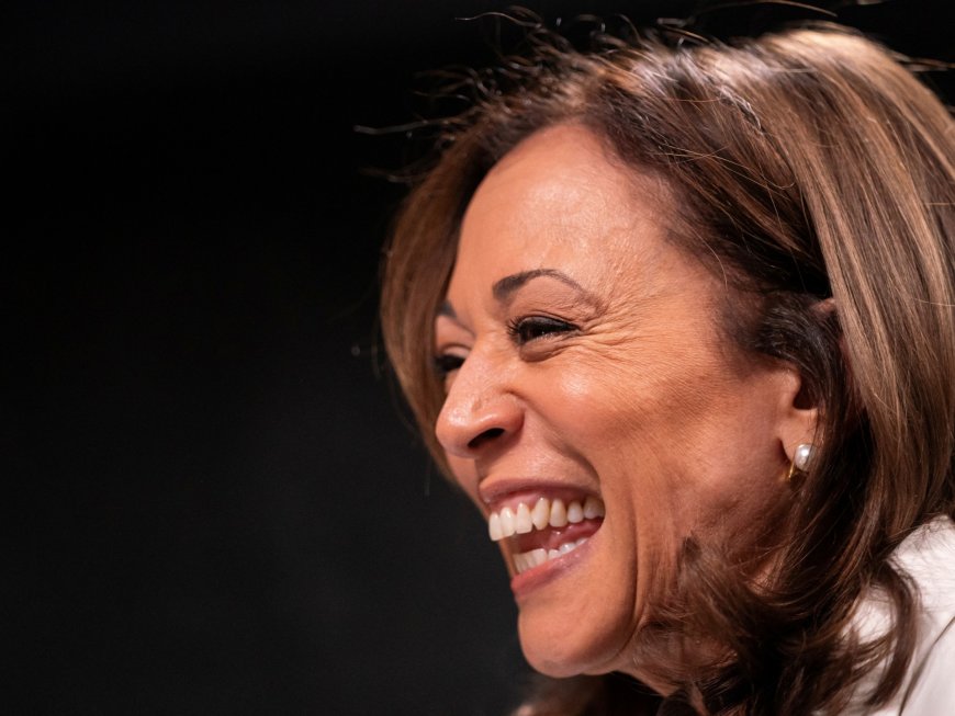 More than $200bn: How Kamala Harris is winning the small donors battle