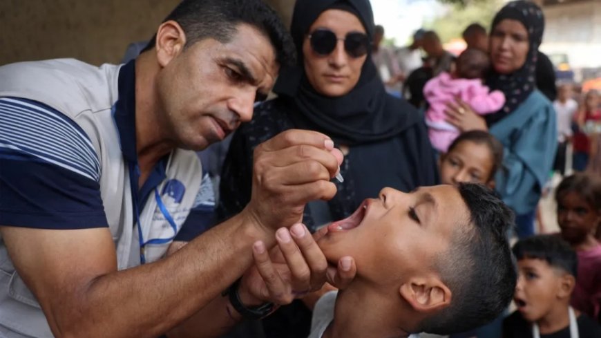 Video: Polio vaccination campaign begins in Gaza