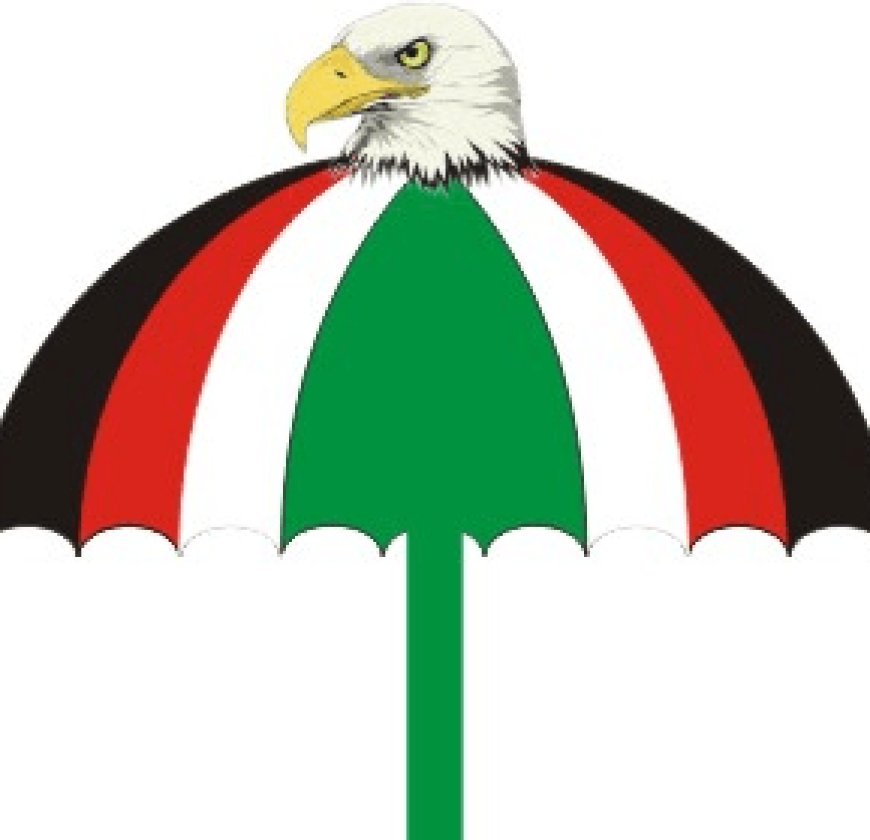 EC rejects proposal for independent audit of Voters’ Register – NDC