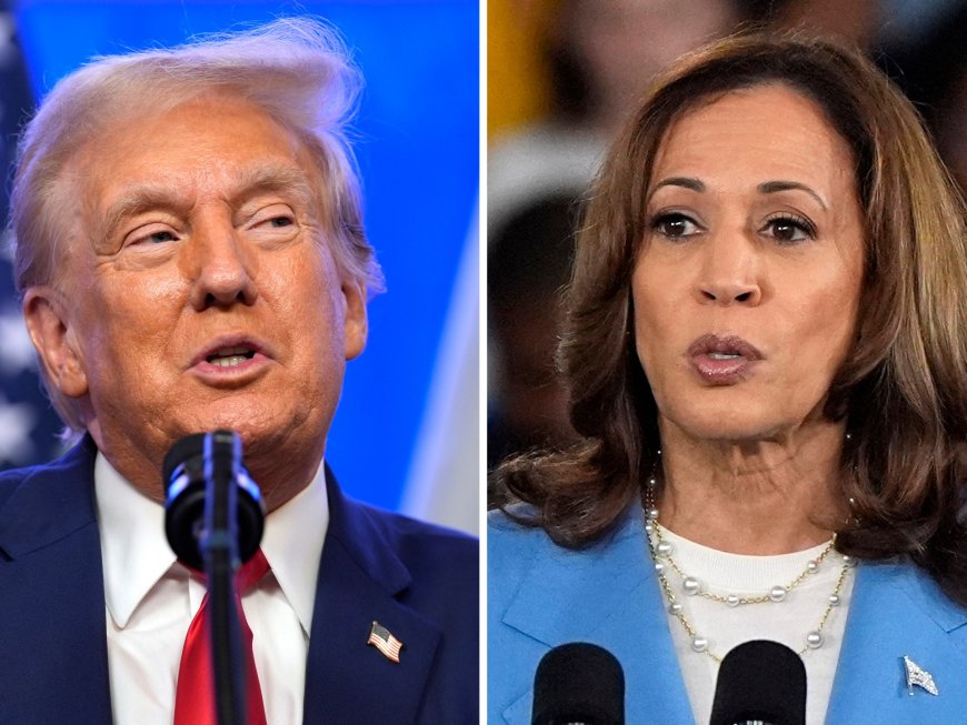 Ahead of the US presidential debate, how are Harris and Trump preparing?