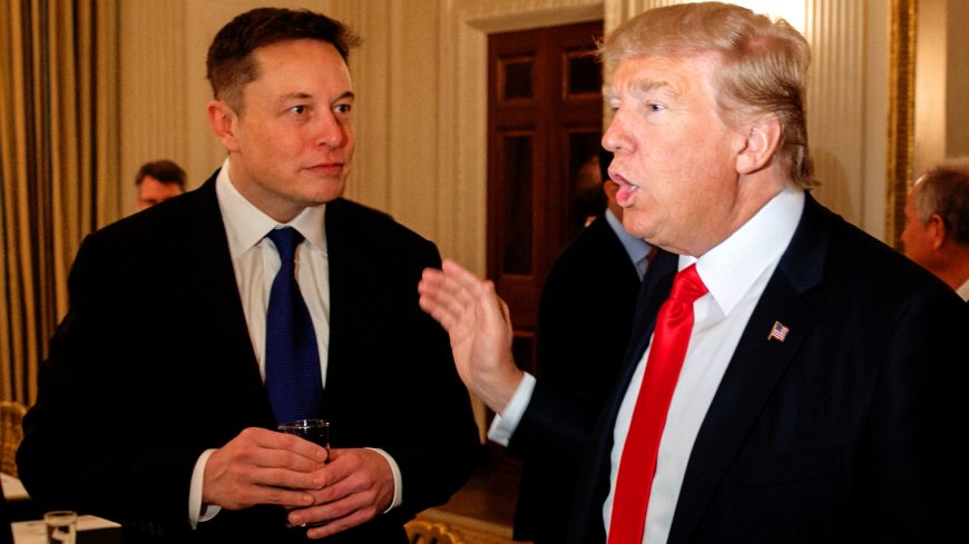 Disruptor-in-Chief: The politics of Elon Musk