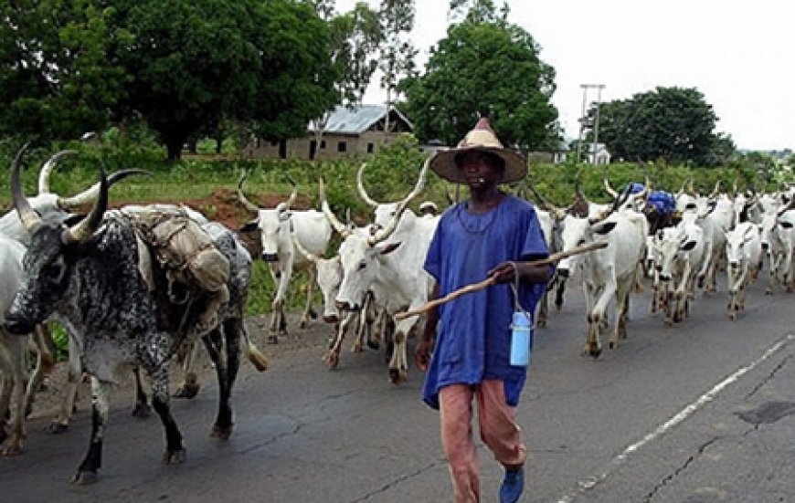 European Union-funded project resolves Fulani Pastoralists, farmer conflicts