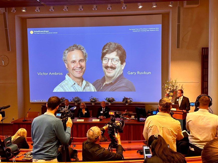 Nobel prize in medicine awarded to US scientists Victor Ambros, Gary Ruvkun