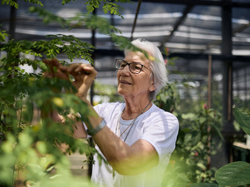 Brazilian nun awarded UN refugee prize