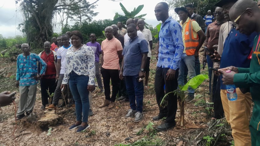 Farmers in Twifo-Atti Morkwa embrace government’s land restoration programme 