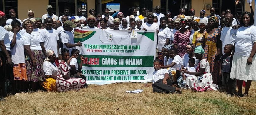 Peasant Farmers Association of Ghana urges farmers to be wary of GMOs 