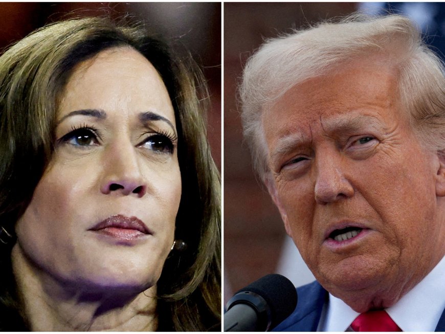 Harris losing ground to Trump in US presidential election, polls suggest