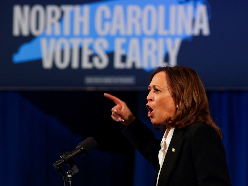 Kamala Harris promises ‘opportunity’ for Black men amid waning support