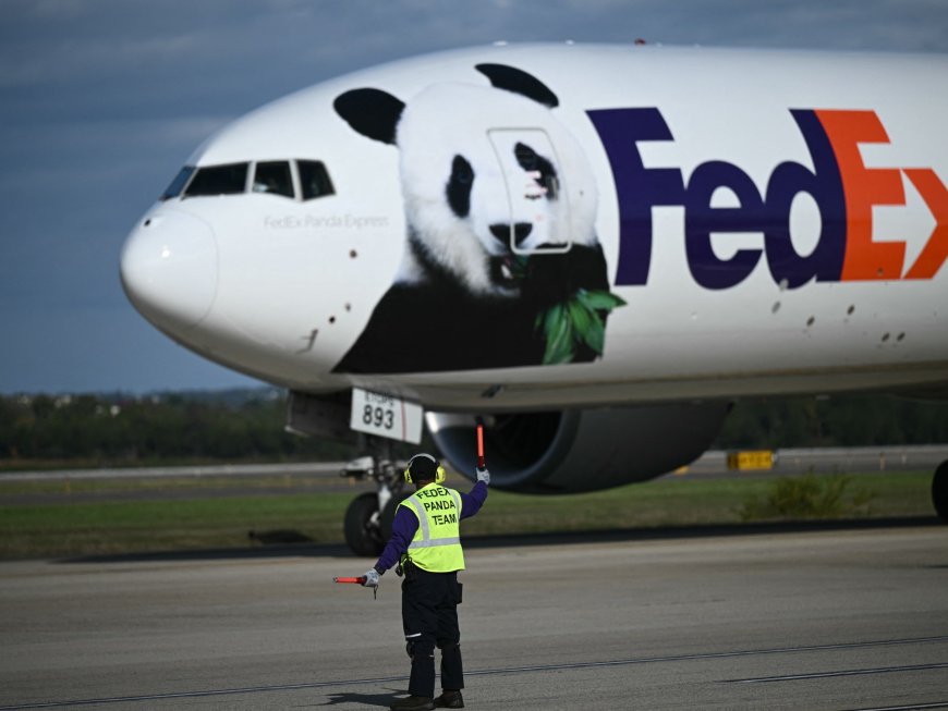 Excitement as two new pandas arrive in US from China