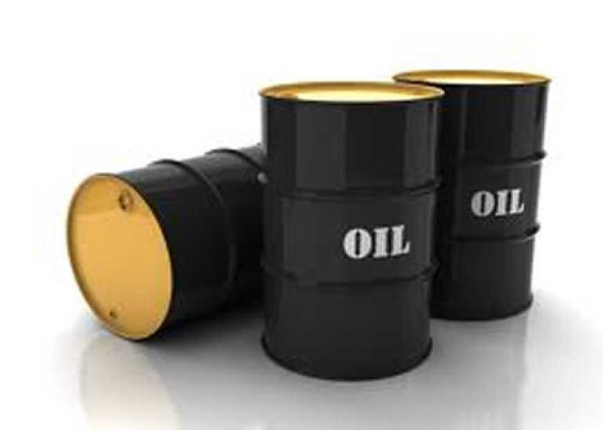 Oil and gas stakeholders make recommendations to reverse petroleum decline