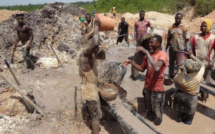 Rice farmers urge government to clamp down on galamsey