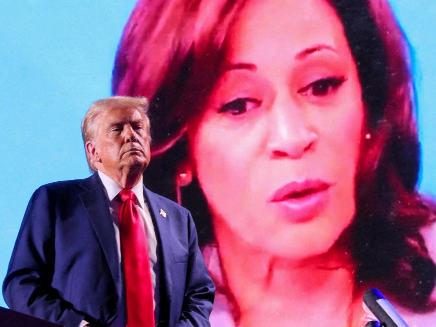 US election: 13 days left — What polls say, what Harris and Trump are up to