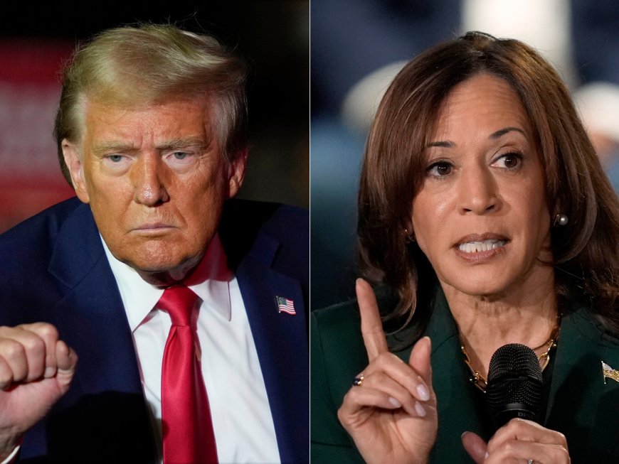 What’s the focus for Harris, Trump in the last few days of the US campaign?