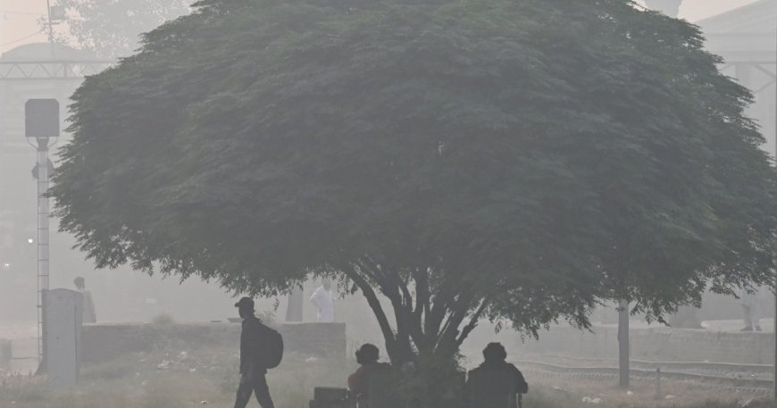 Record high air pollution shuts schools in Pakistan’s Lahore