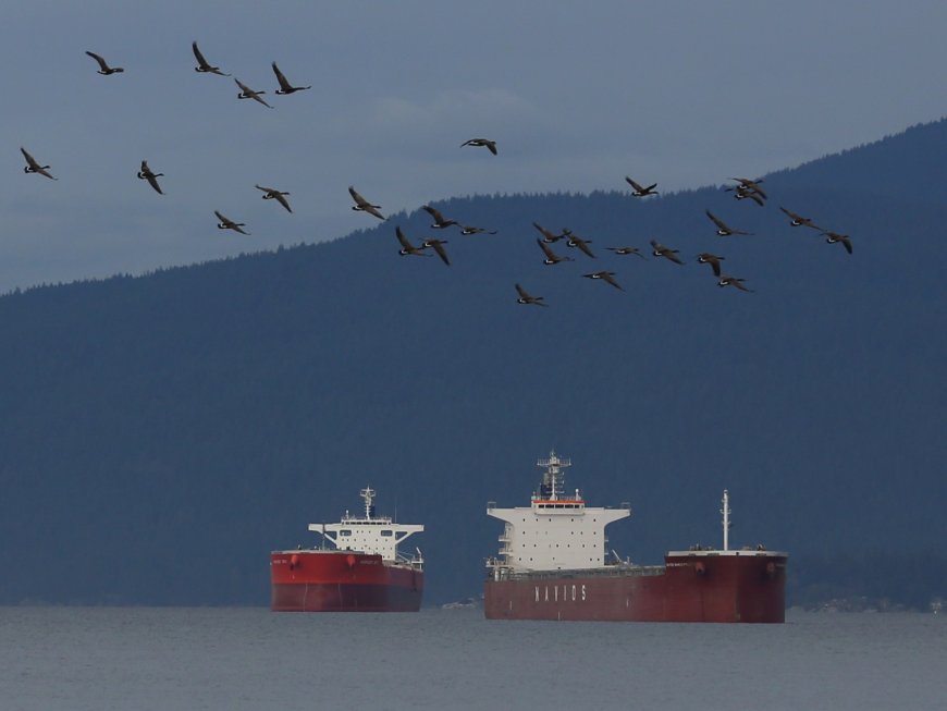 Canada’s largest port could see lockout of more than 700 workers