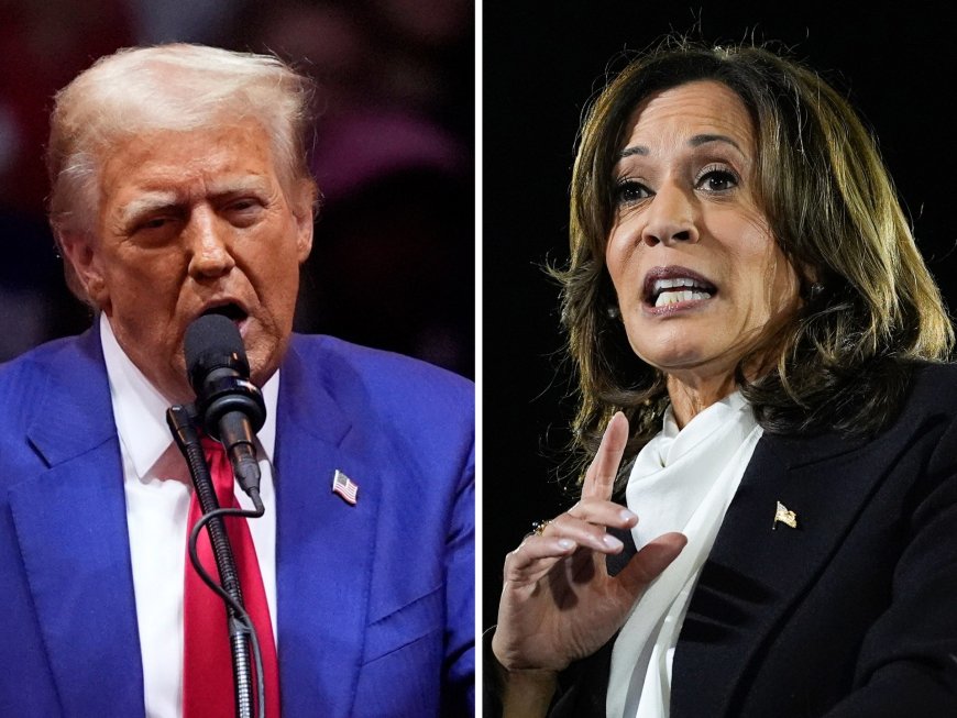 Polls open for 2024 US Election Day as Kamala Harris, Donald Trump face off