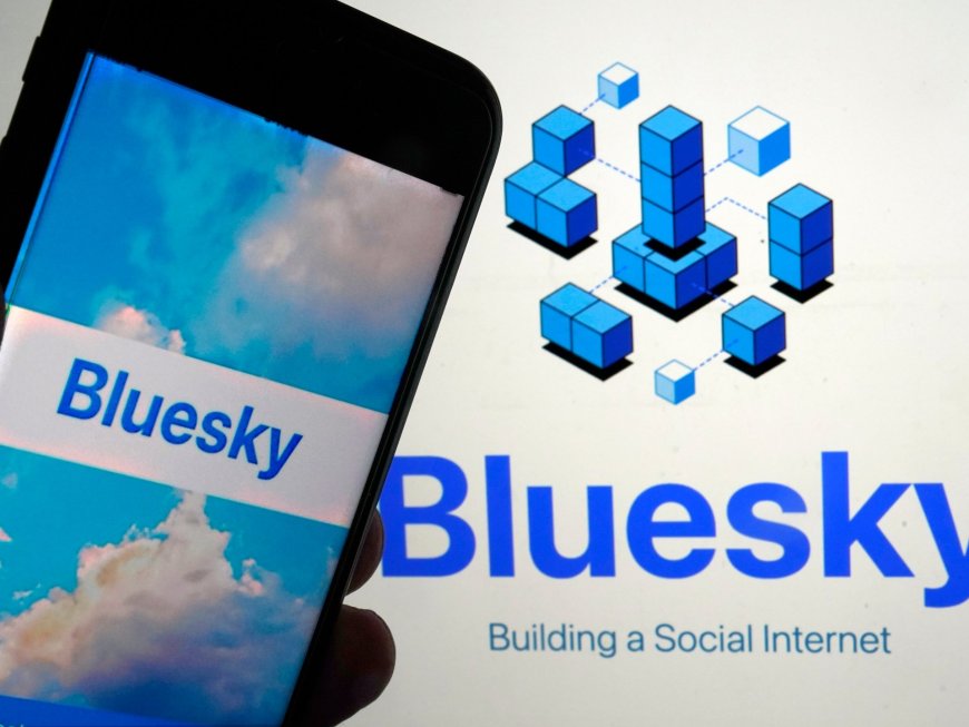 Bluesky adds 1 million users after US election as users ditch X