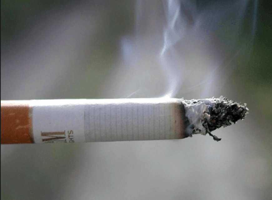 Tobacco causes 8 million deaths annually