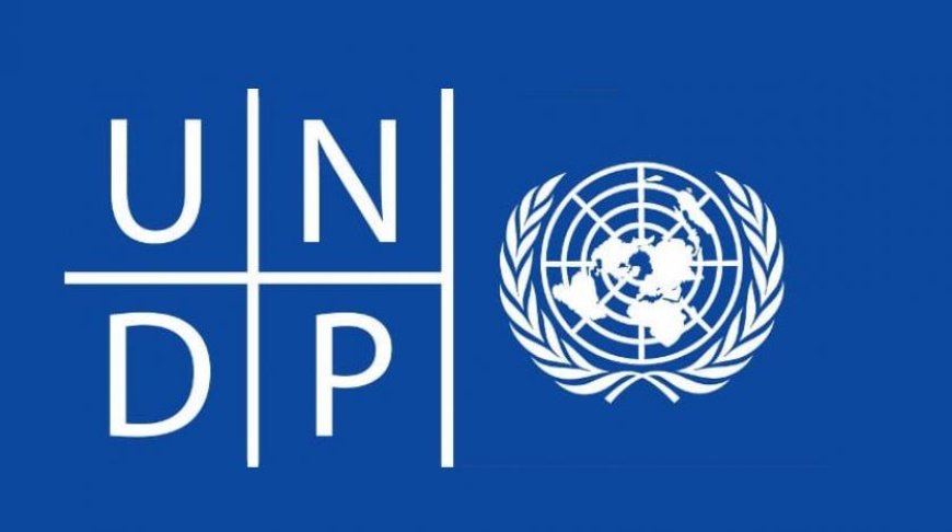 Ghana’s green transition requires deeper research – UNDP