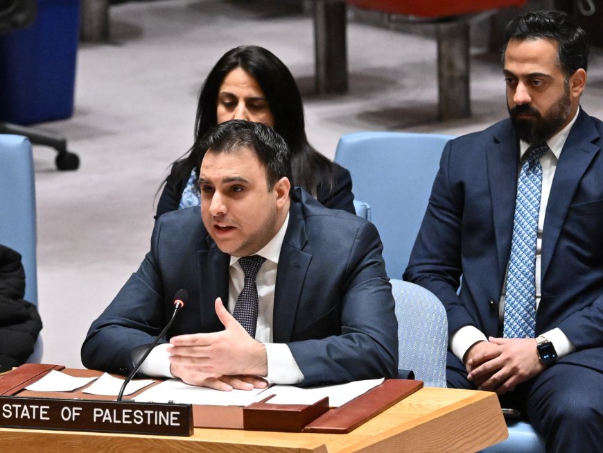 Palestinian UN ambassador calls out Security Council inaction