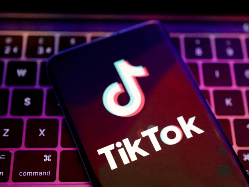 ByteDance, TikTok seek temporary halt to US crackdown law