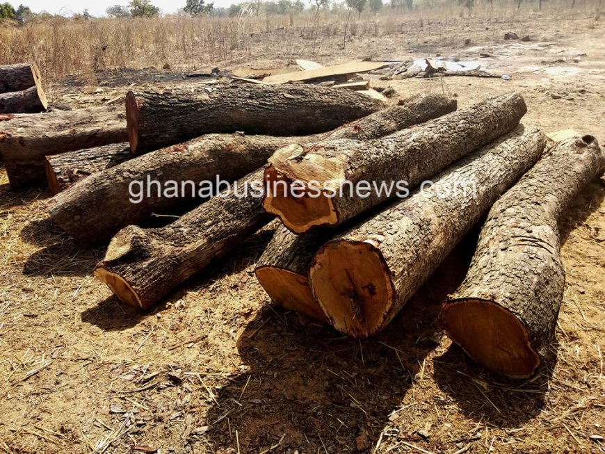 Journalists urged to probe utilisation of timber stumpage fees to communities