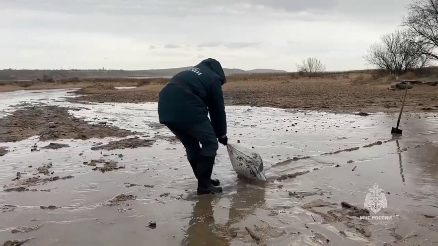 Oil washes up on Russia’s Black Sea coast after tanker spill