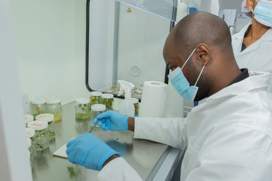 Conference calls for African scientific sovereignty, renewed investment in research capabilities 