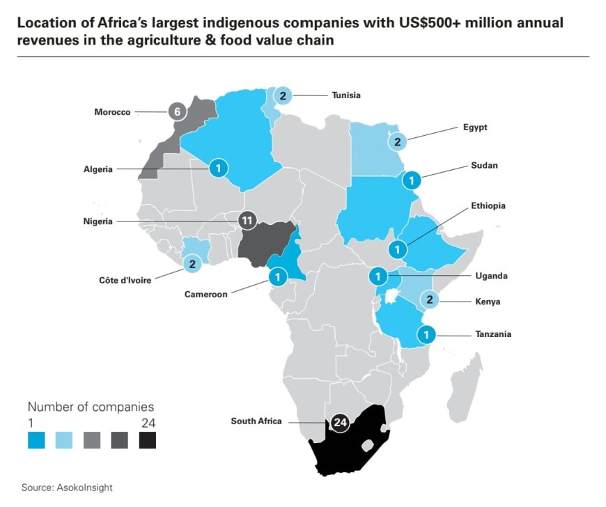 Ghana’s indigenous agribusiness said to be facing challenges