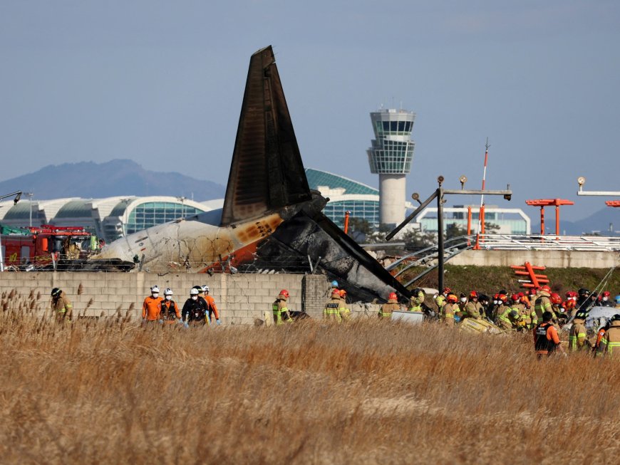 At least 96 killed in S Korea as plane crashes on landing at Muan airport