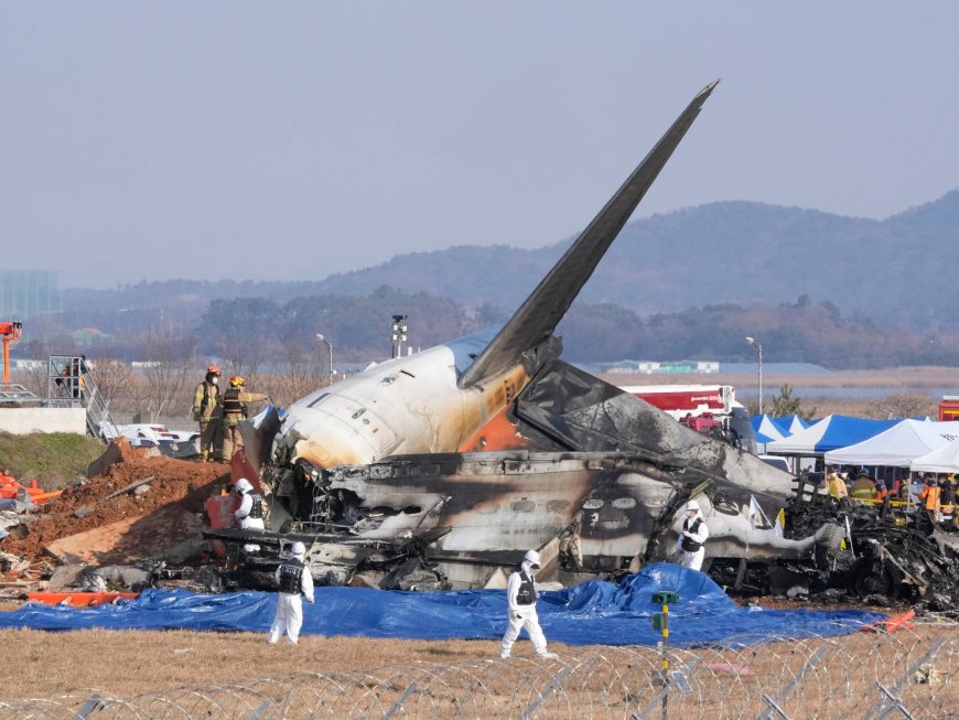 At least 151 killed in S Korea as plane crashes on landing at Muan airport