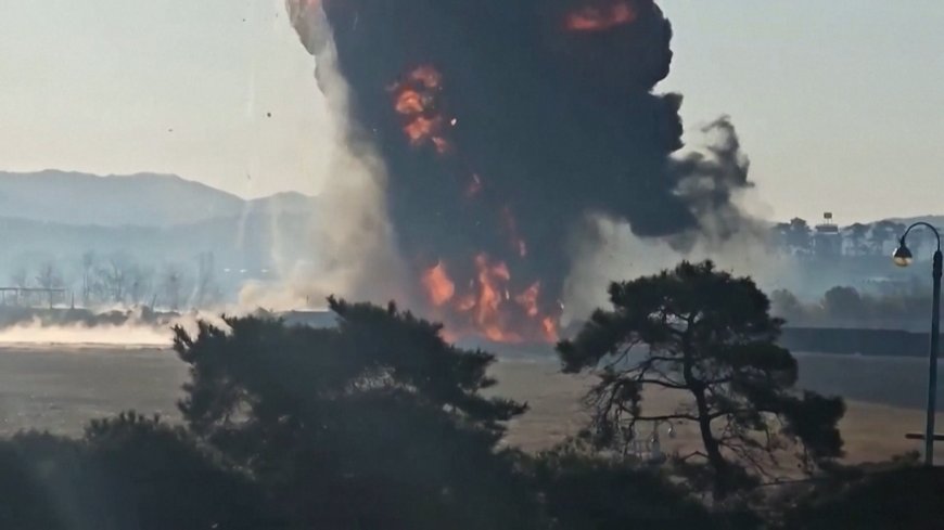 Video: Jeju Air plane crashes and explodes during landing in South Korea