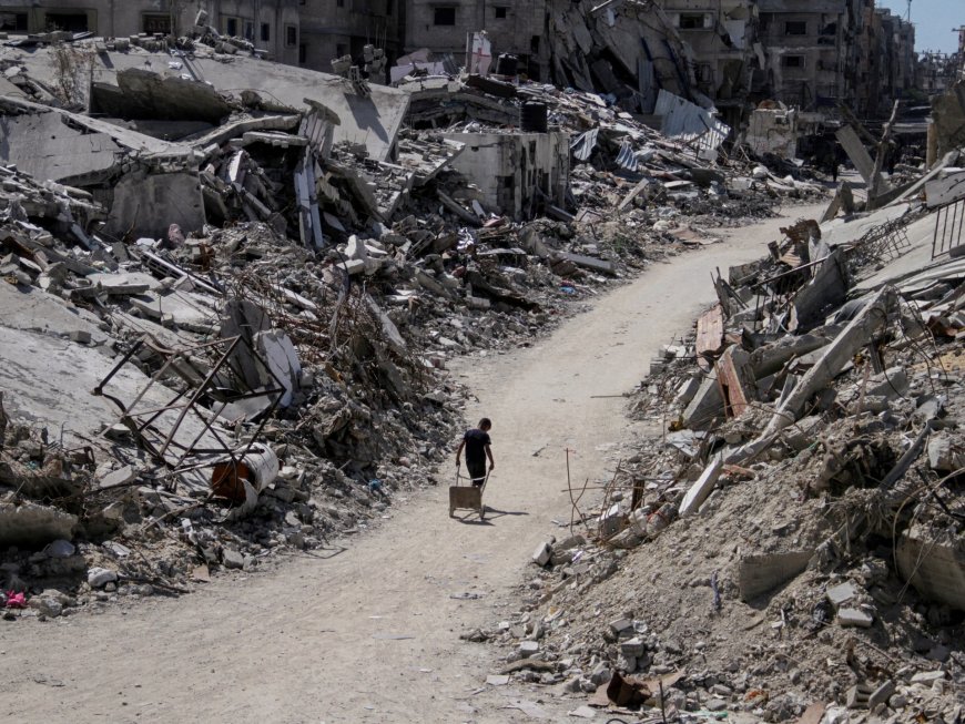 Surviving 2024 in Gaza