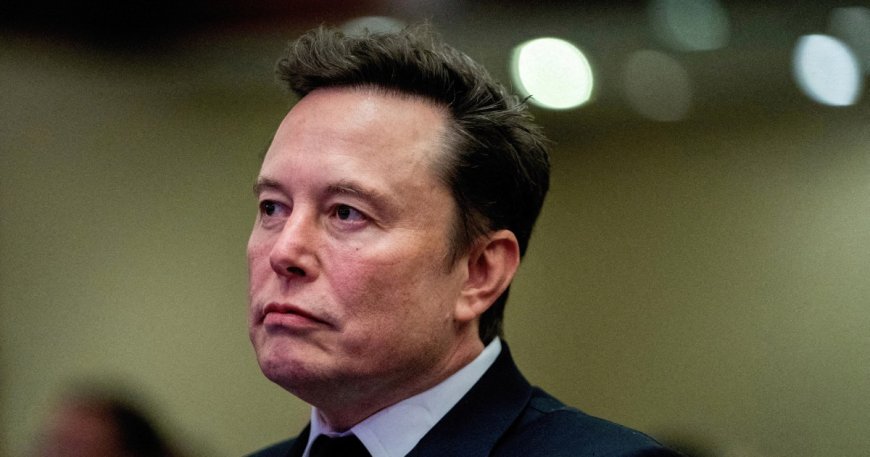 Germany accuses Musk of election meddling over AfD support: What we know