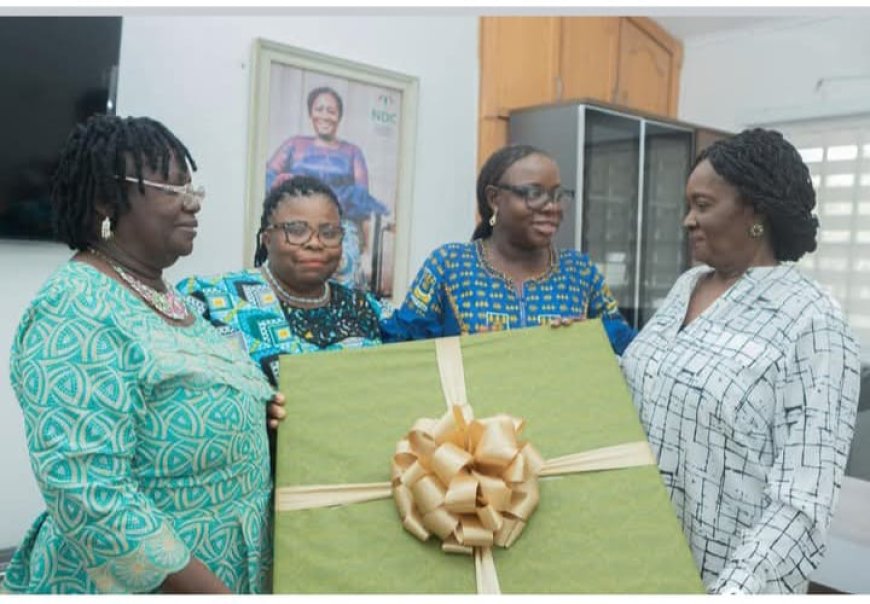 Female Vice-Chancellors call on Vice President-elect  