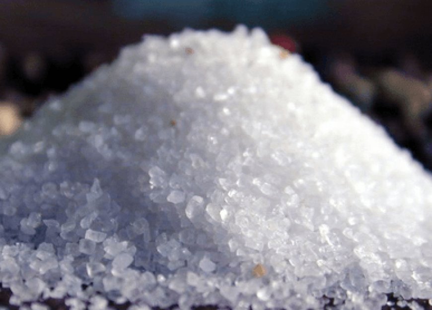 Ghana government urged to prioritise salt development to grow economy