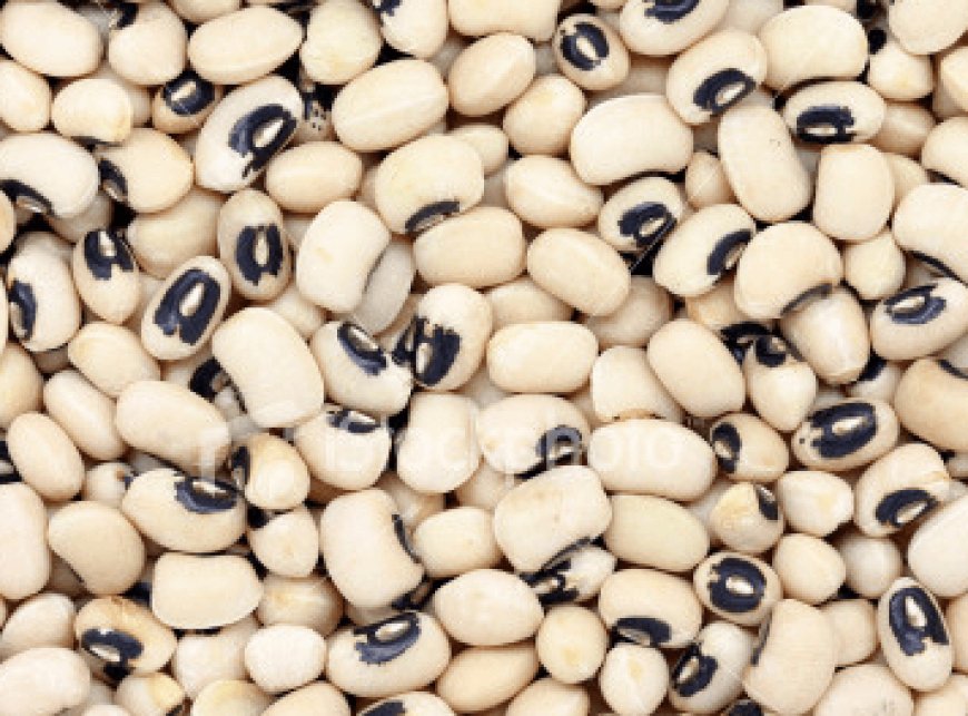 New Ghanaian cowpea variety to be approved soon for commercial use