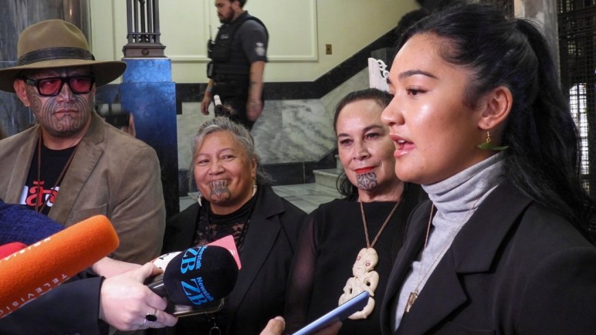 Thousands march on New Zealand capital against Indigenous treaty overhaul